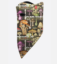 Load image into Gallery viewer, AIRHOLE STANDARD 10K SOFTSHELL FACE MASK