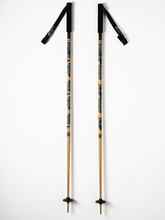 Load image into Gallery viewer, ARMADA TRIAD SKI POLES