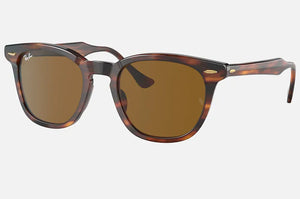 RAY-BAN HAWKEYE SUNGLASSES